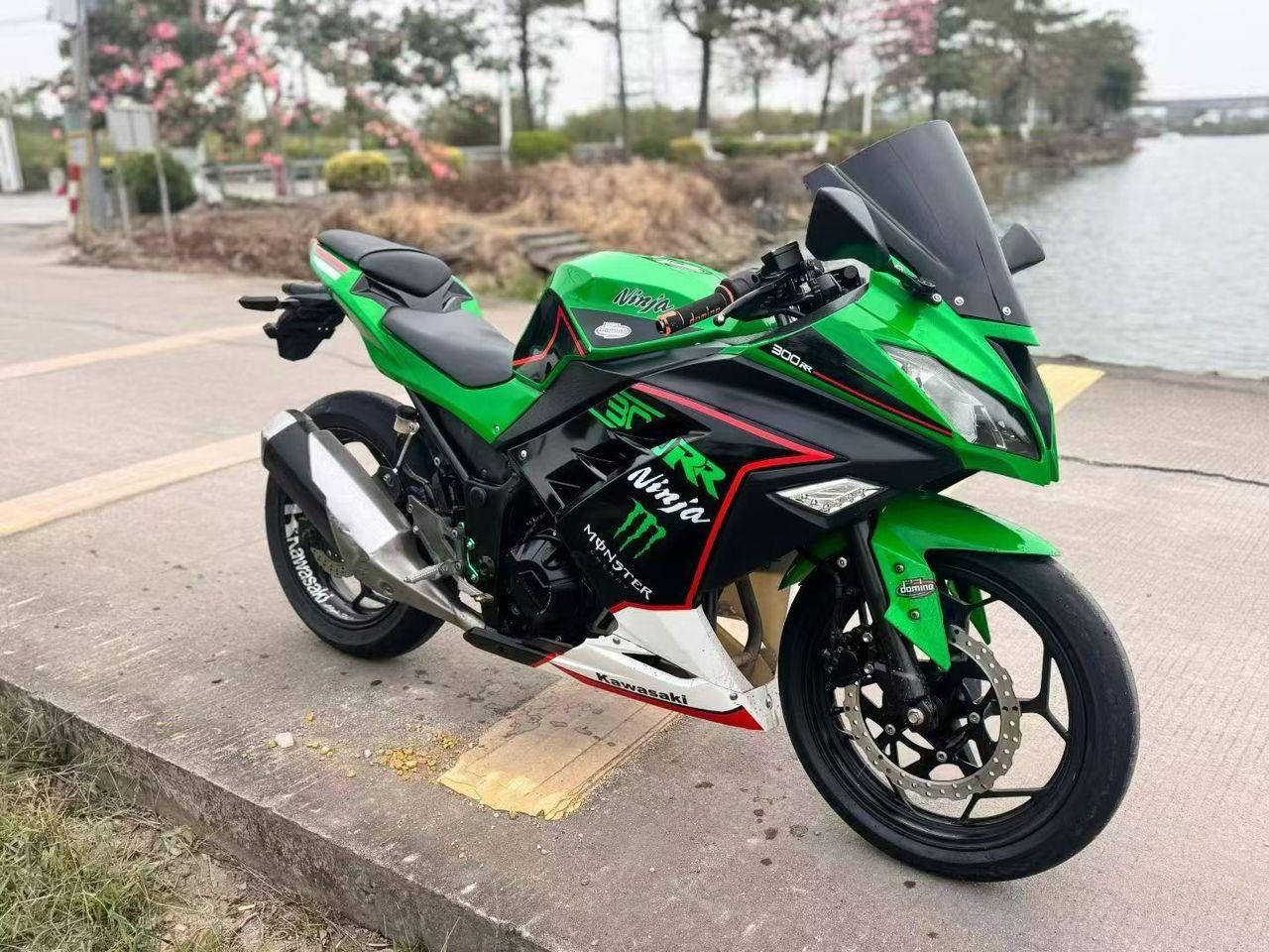 Kawasaki Ninja 300